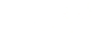 Logo Onfleek Media